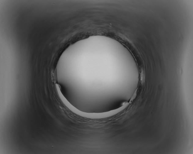 X0000084551492200703231725