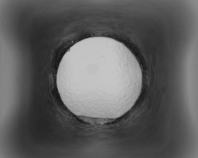 X0000084551493200703231725