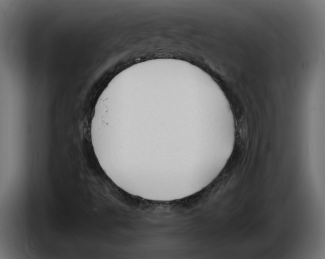 X0000084551495200703231725