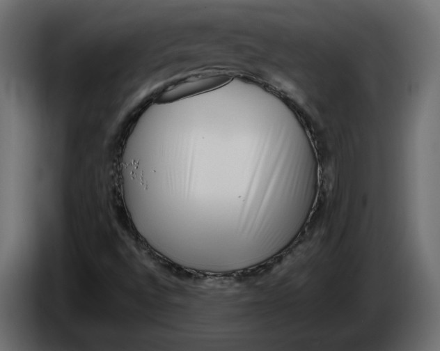 X0000084551496200703231725