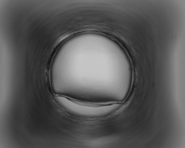 X0000084551497200703231725