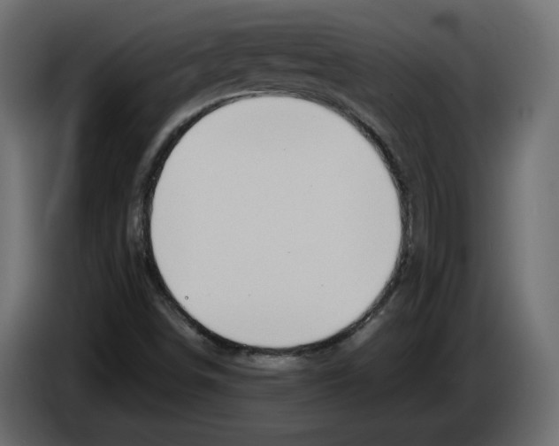 X0000084551498200703231725