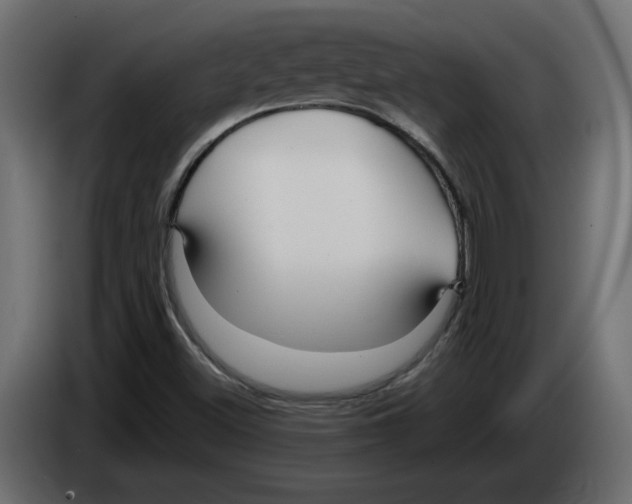 X0000084551500200703231725