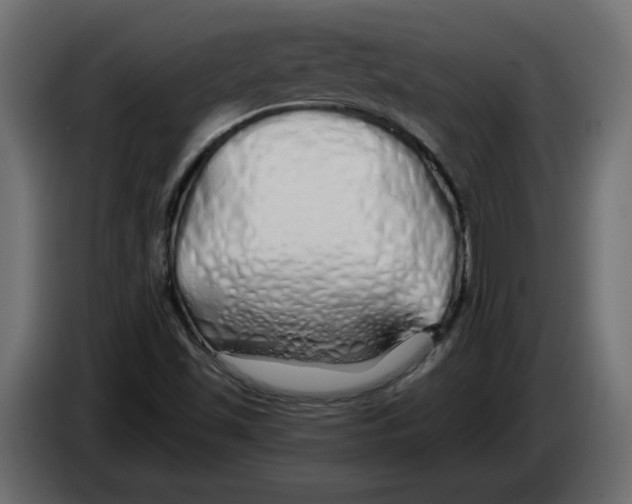 X0000084551501200703231725