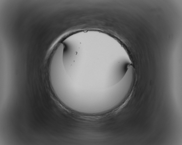 X0000084551502200703231725