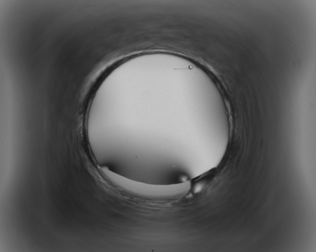 X0000084551503200703231725