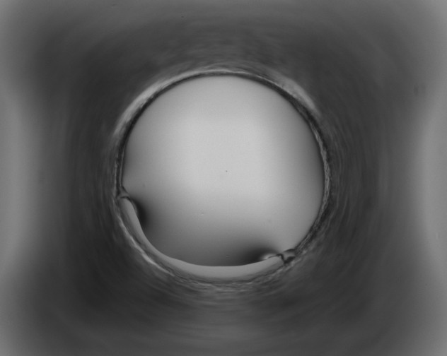 X0000084551504200703231725