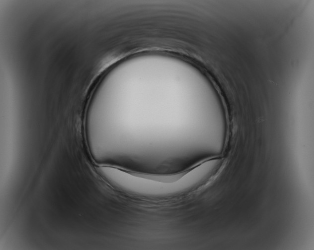 X0000084551505200703231725