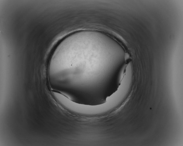 X0000084551506200703231725