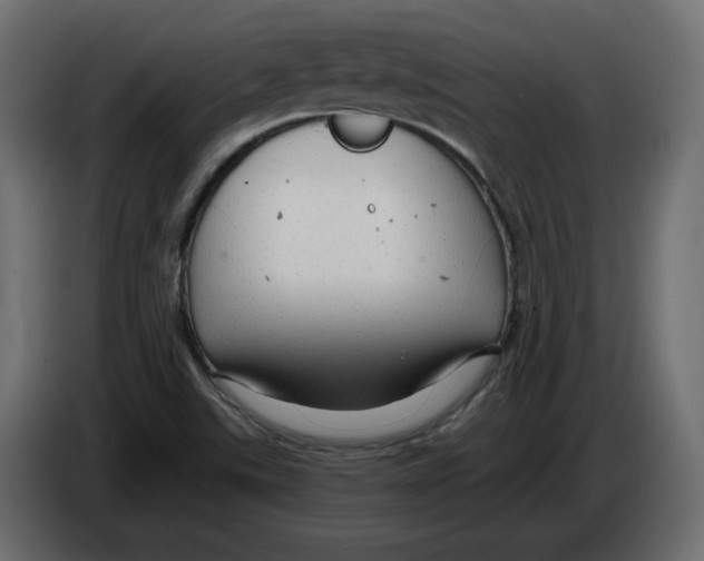 X0000084551507200703231725