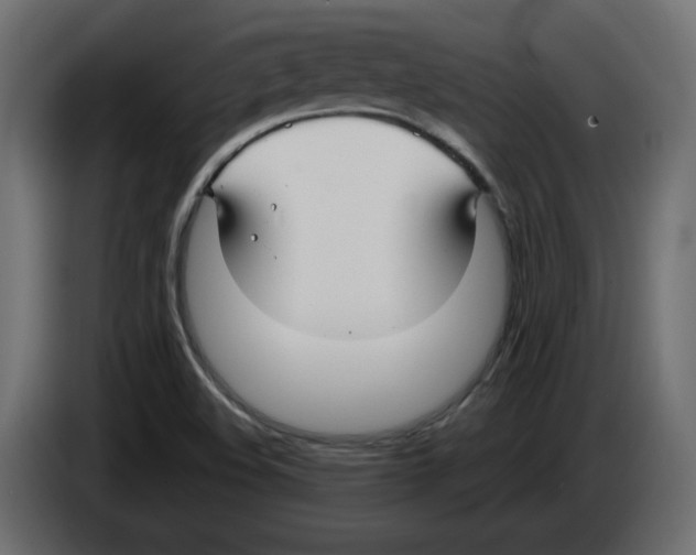 X0000084551508200703231725