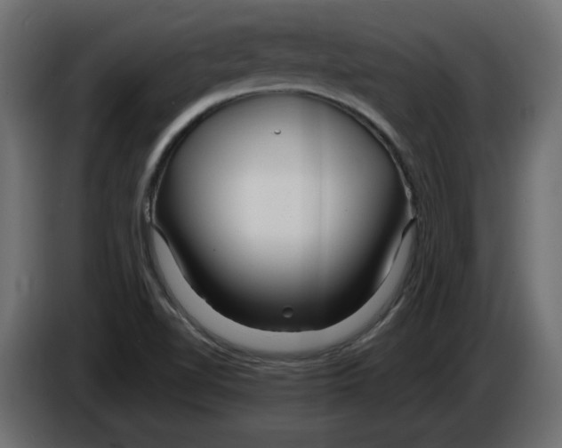 X0000084551510200703231725