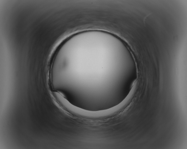 X0000084551511200703231725