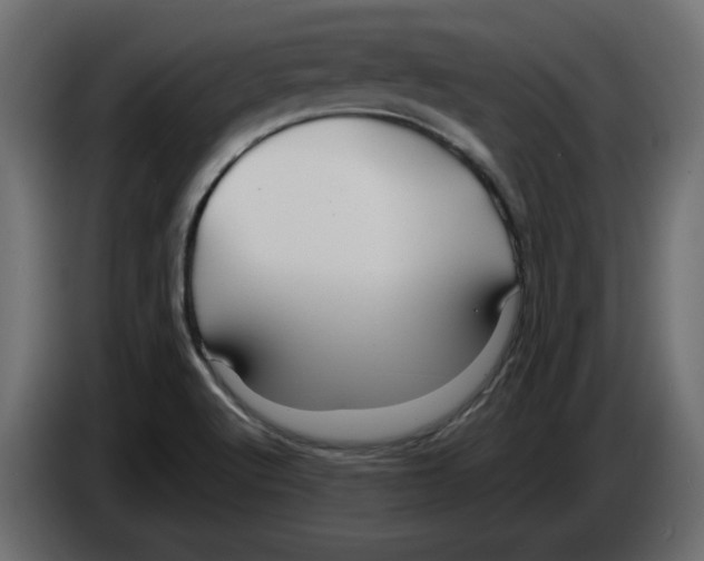 X0000084551512200703231725