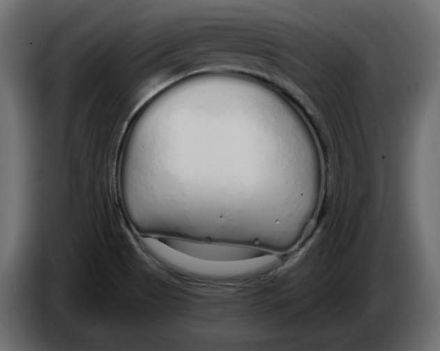 X0000084551513200703231725