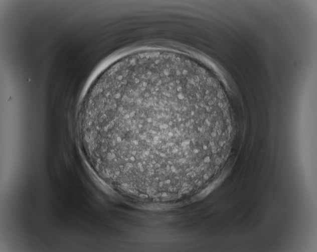 X0000084551514200703231725