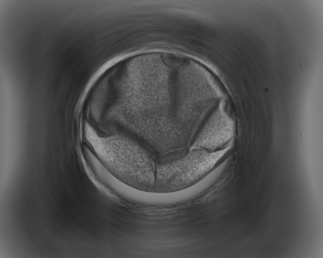 X0000084551515200703231725