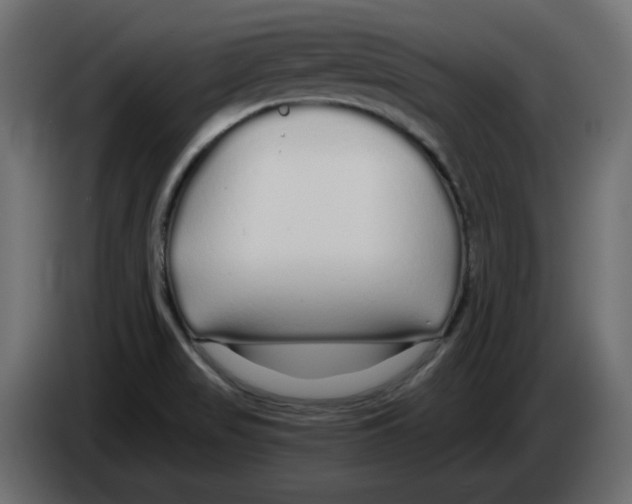 X0000084551517200703231725