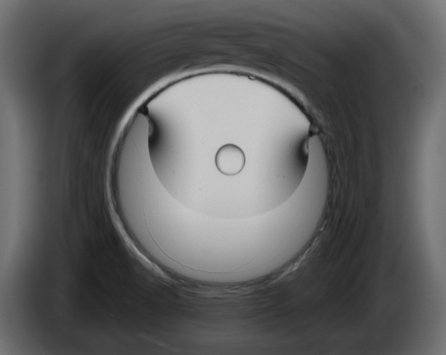 X0000084551518200703231725