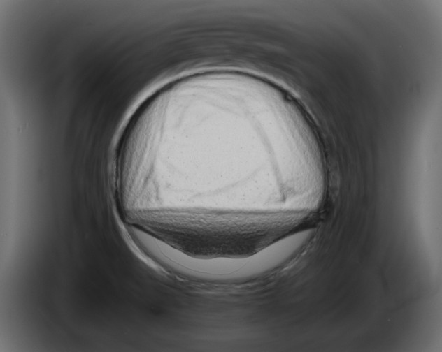 X0000084551519200703231725