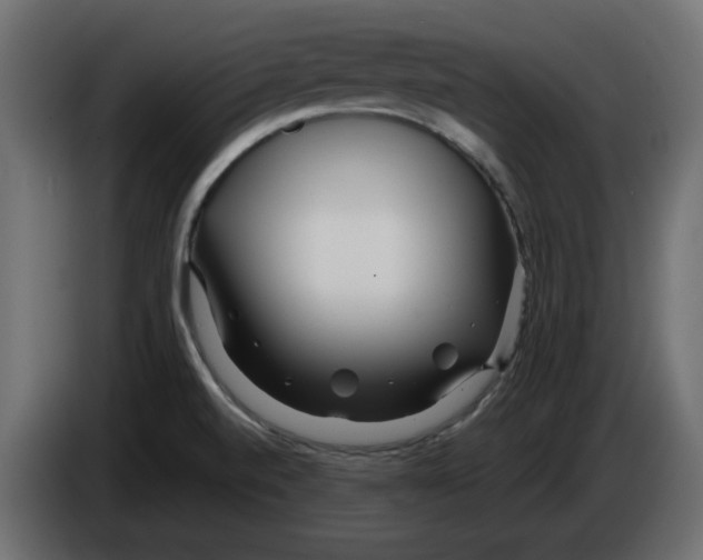 X0000084551520200703231725