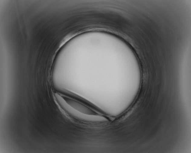 X0000084551521200703231725