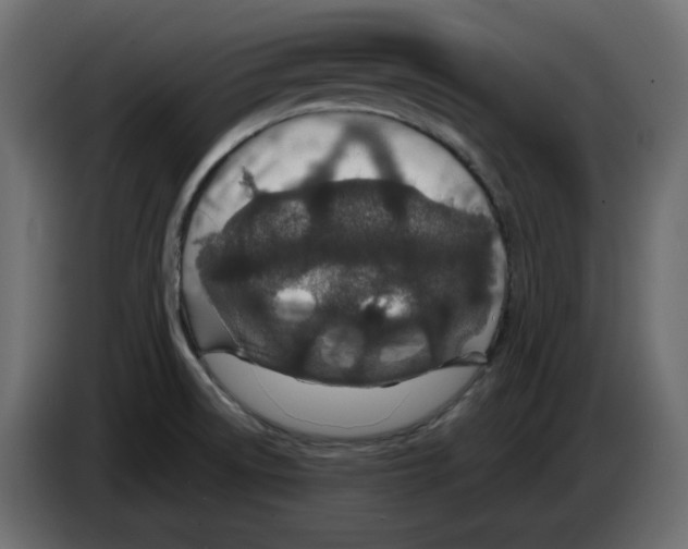 X0000084551522200703231725