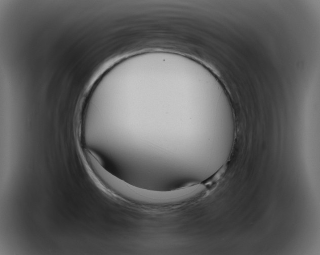 X0000084551523200703231725