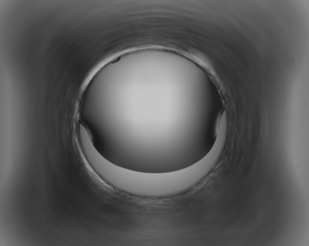 X0000084551524200703231725