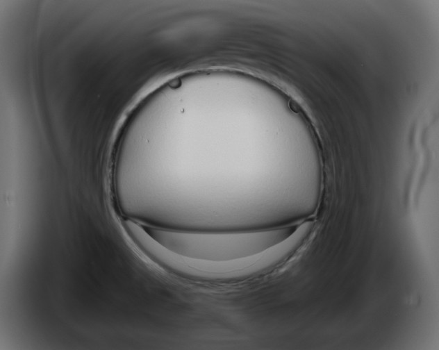 X0000084551525200703231725