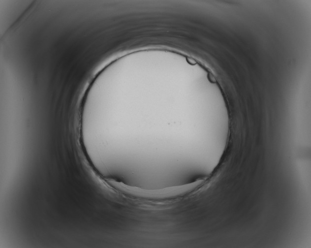 X0000084551526200703231725