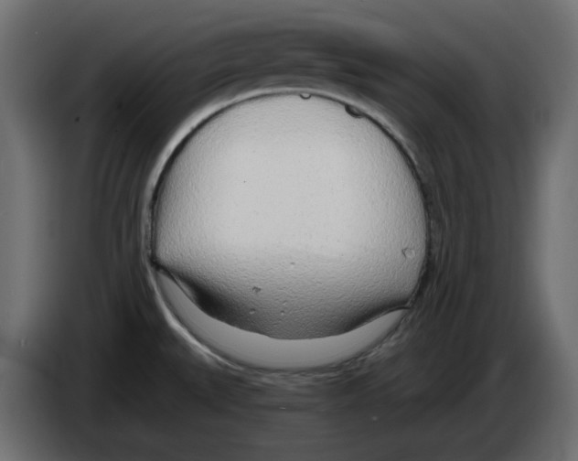 X0000084551527200703231725