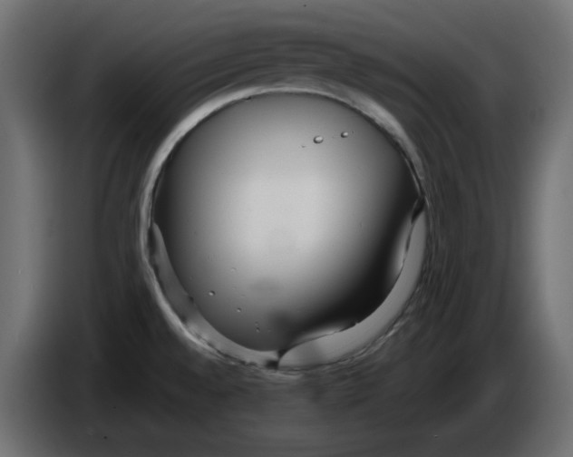 X0000084551528200703231725