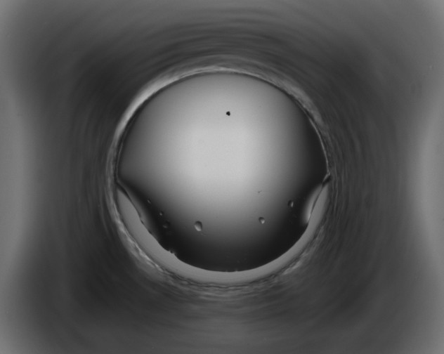 X0000084551530200703231725