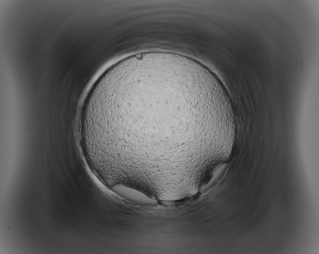 X0000084551531200703231725