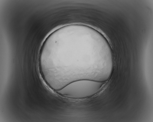 X0000084551534200703231725