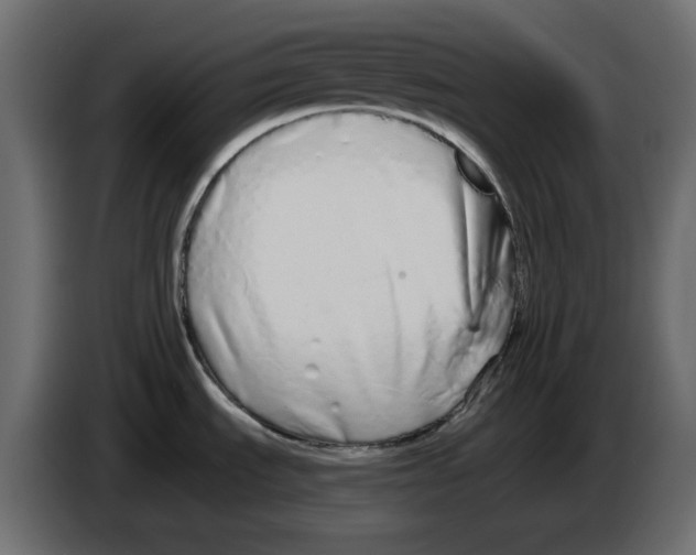 X0000084551535200703231725