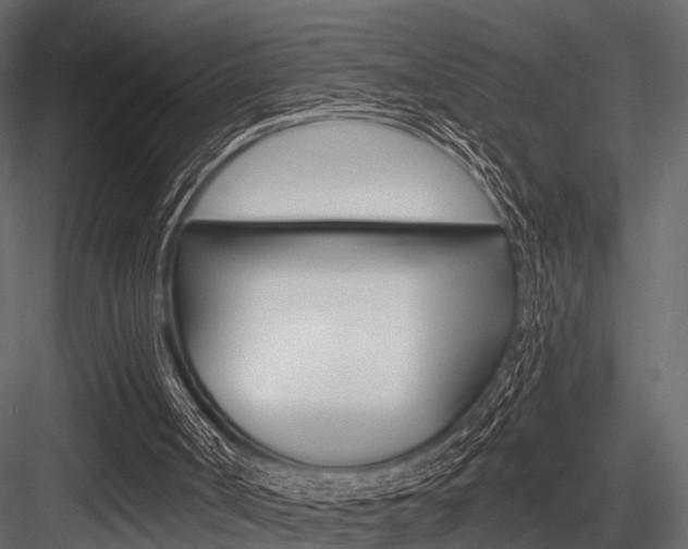 X0000084560002200702231014