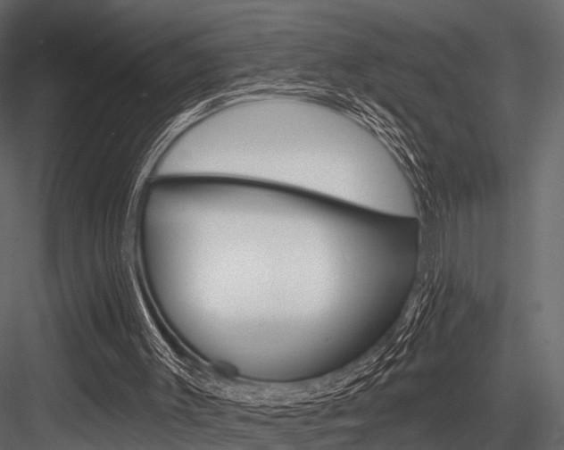 X0000084560003200702231014