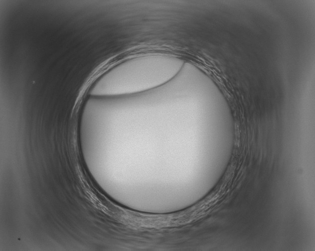 X0000084560004200702231014