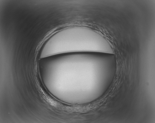 X0000084560005200702231014