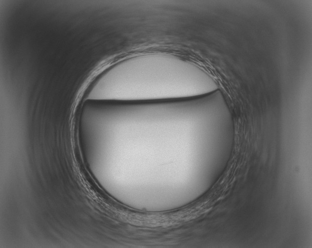 X0000084560006200702231014