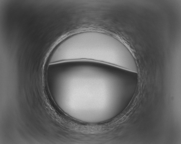 X0000084560008200702231014