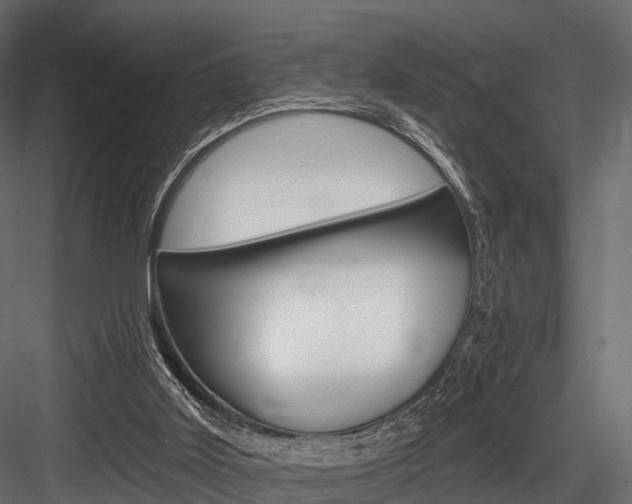X0000084560011200702231014