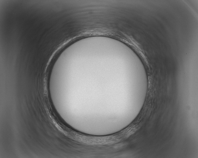 X0000084560012200702231014