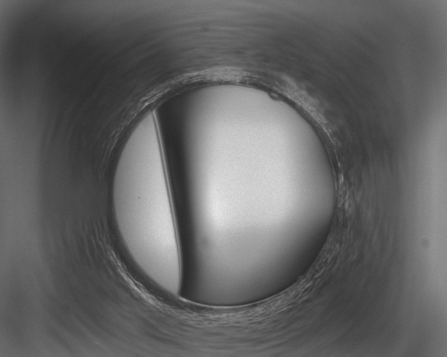 X0000084560013200702231014