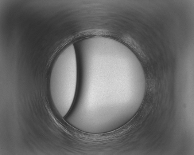 X0000084560014200702231014