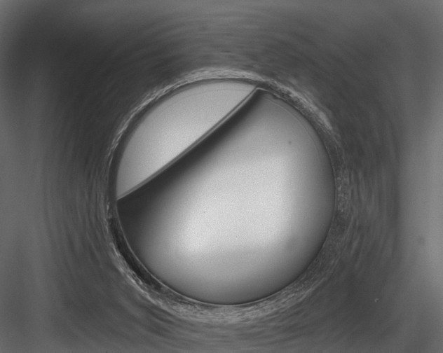 X0000084560015200702231014