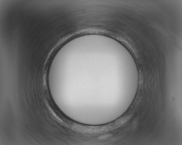 X0000084560016200702231014