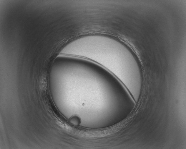 X0000084560017200702231014